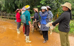 8 trong 49 người mất tích ở Làng Nủ đã thoát nạn