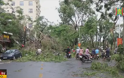 Bảo hiểm bồi thường 7.000 tỷ đồng thiệt hại do bão Yagi