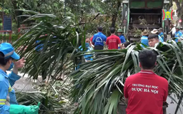 Nỗ lực tổng vệ sinh môi trường đô thị