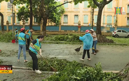 Hà Nội tổng vệ sinh môi trường sau bão số 3