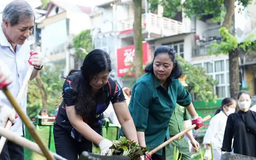 Hà Nội ra quân tổng vệ sinh môi trường sau bão số 3