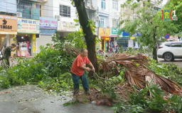 Tổng vệ sinh, khắc phục hậu quả bão số 3