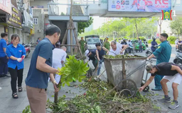 Người dân Thủ đô tham gia khắc phục hậu quả sau bão