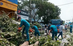 Hà Nội tổng vệ sinh môi trường toàn thành phố
