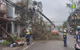 Hải Phòng thiệt hại gần 11.000 tỷ đồng vì bão Yagi