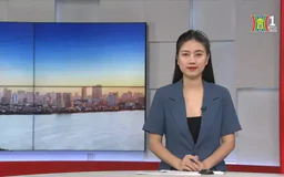 Chương trình Thời sự 11h30 | 16/09/2024