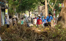 Hà Nội tổng lực dọn cây đổ trong 2 ngày cuối tuần