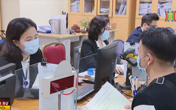 Hướng dẫn miễn giảm thuế khi bị thiệt hại do bão lũ