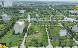 Thao túng thị trường nhìn từ chuyện bỏ cọc ở Thanh Oai