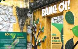 Trưng bày chuyên đề “Bàng ơi!”