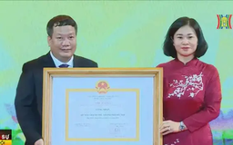 Huyện Thanh Trì đạt chuẩn nông thôn mới nâng cao