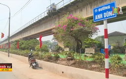 Gắn biển công trình vườn hoa - tuyến đường văn minh