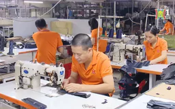 Ladoda - Câu chuyện thành công của một doanh nghiệp làng nghề | Tự hào hàng Việt Nam | 19/10/2024