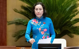Cần thiết sửa đổi, bổ sung một số điều của Luật Dược