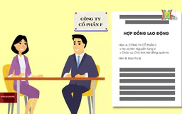 Thẩm quyền giao kết hợp đồng lao động | Sống và làm việc theo pháp luật | 02/11/2024