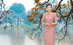 Dự báo thời tiết trưa | 04/11/2024