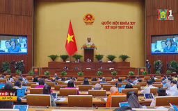Cần điều chỉnh bổ sung quyền sử dụng tài sản công