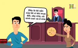 Phân chia tài sản khi ly hôn theo công sức đóng góp | Sống và làm việc theo pháp luật | 09/11/2024