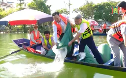 Hà Nội bảo vệ và phát triển nguồn lợi thủy sản | Phóng sự chuyên đề | 20/10/2024