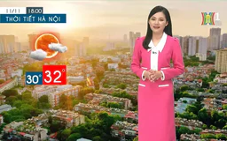 Dự báo thời tiết tối | 11/11/2024