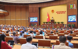 Quốc hội chất vấn và trả lời chất vấn nhiều vấn đề nóng
