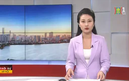 Chương trình Thời sự 11h30 | 15/11/2024