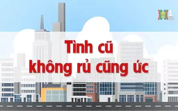 Tình cũ không rủ cũng ức | Chuyện quanh ta | 17/11/2024