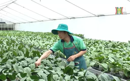 Chuyển đổi số tạo bước phát triển mới cho nông nghiệp | 12/11/2024