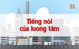 Tiếng nói của lương tâm | Chuyện quanh ta | 22/11/2024