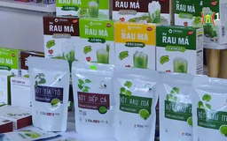 Nâng cao chất lượng hàng Việt | Tự hào hàng Việt Nam | 23/11/2024
