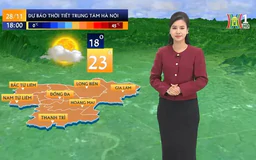 Dự báo thời tiết trưa | 28/11/2024