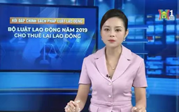 Bộ luật Lao động năm 2019: Cho thuê lại lao động | Tọa đàm | 01/12/2024