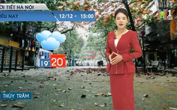 Dự báo thời tiết chiều | 12/12/2024