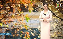 Dự báo thời tiết trưa | 14/12/2024