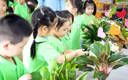 Xây dựng trường học xanh | Giáo dục và đào tạo | 15/12/2024