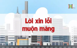 Lời xin lỗi muộn màng | Chuyện quanh ta | 22/12/2024