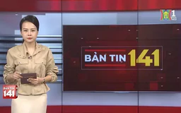 Bản tin 141 | 24/12/2024