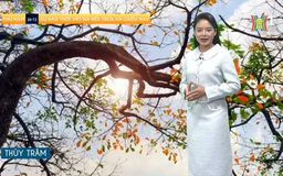 Dự báo thời tiết chiều | 26/12/2024