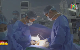 Thêm nhiều bệnh nhân hồi sinh nhờ cấy ghép mô tạng