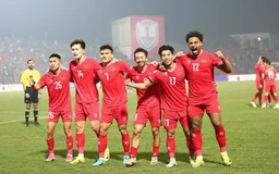 Đội tuyển Việt Nam tăng lên hạng 112 thế giới