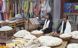 Khám phá 'Quà tặng của nhân gian' tại Văn Miếu
