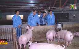 Kiểm soát an toàn thực phẩm dịp Tết