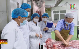 Các chuỗi chăn nuôi sẵn sàng nguồn cung thực phẩm Tết