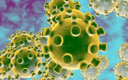 Bộ Y tế thông tin về bệnh do virus gây viêm phổi tại Trung Quốc