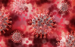 Kazakhstan ghi nhận hàng chục ca nhiễm virus HMPV