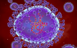 Chuyên gia nước ngoài chỉ cách phòng bệnh do virus HMPV