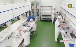 GDP Việt Nam năm 2024 tăng hơn 7%