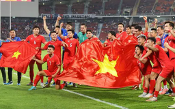 Thành phố Hà Nội khen thưởng đội tuyển Việt Nam