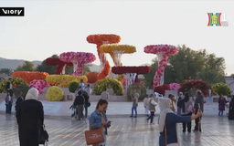 Lễ hội hoa Muscat thu hút hàng triệu du khách