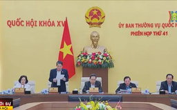 Tổ chức 4 Đoàn giám sát pháp luật, bảo vệ môi trường